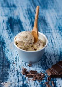 Old-fashioned Vanilla Chocolat Chip Ice Cream